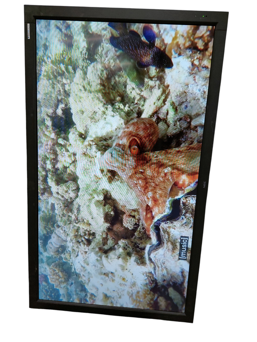 NEC 65" V652 LCD Monitor