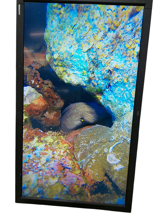 NEC 65" V652 LCD Monitor