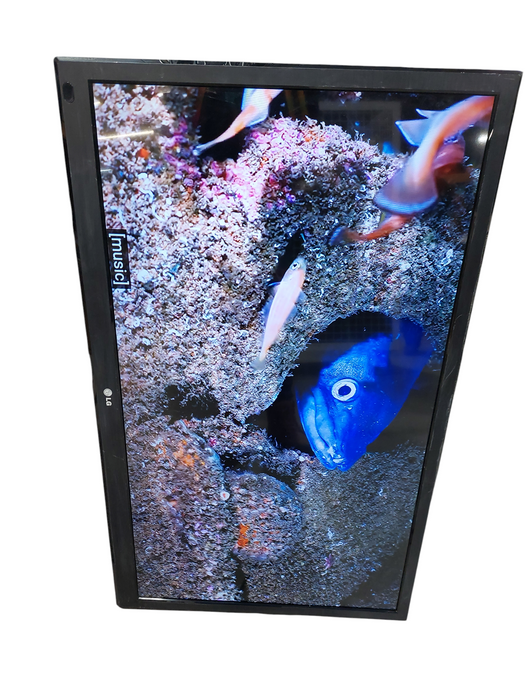 LG 42"  TV Model: 42LT670H