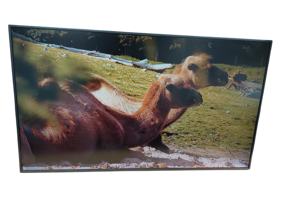 Samsung 43" Color Display Unit Model: LH43PMHP
