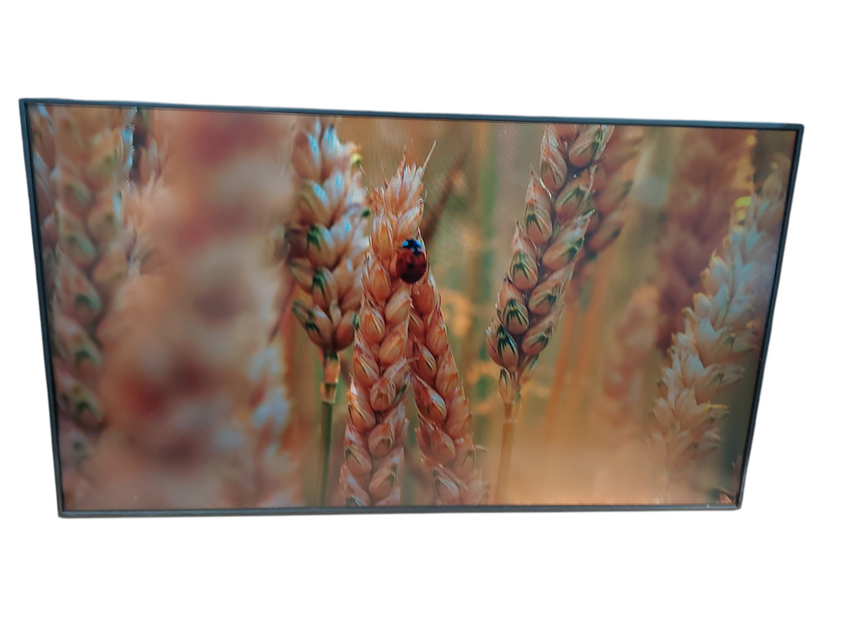 Samsung 43" Color Display Unit Model: LH43PMHP
