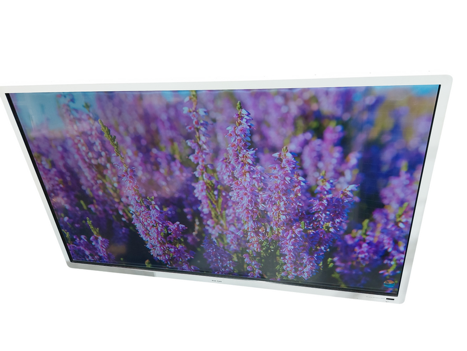 Ricoh Interactive Whiteboard D8400 with Remote