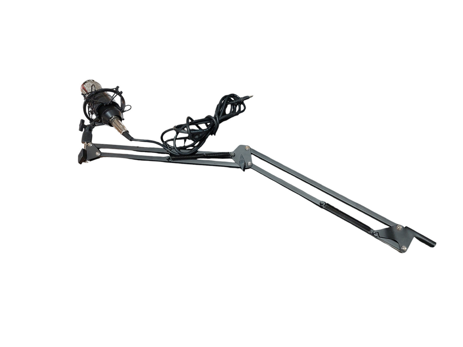 Boom Mic BM-800