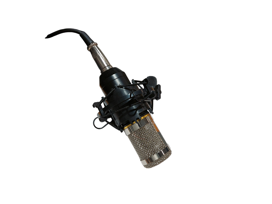 Boom Mic BM-800