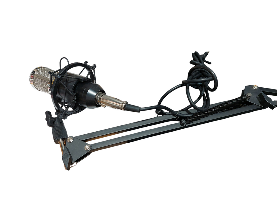 Boom Mic BM-800