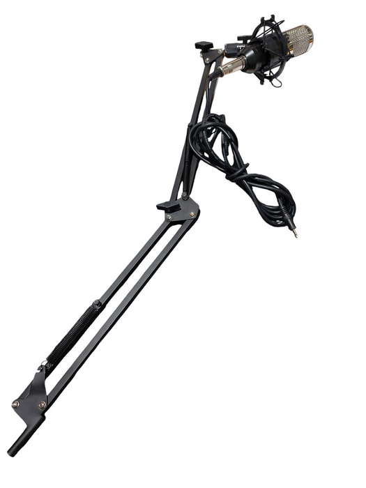 Boom Mic BM-800