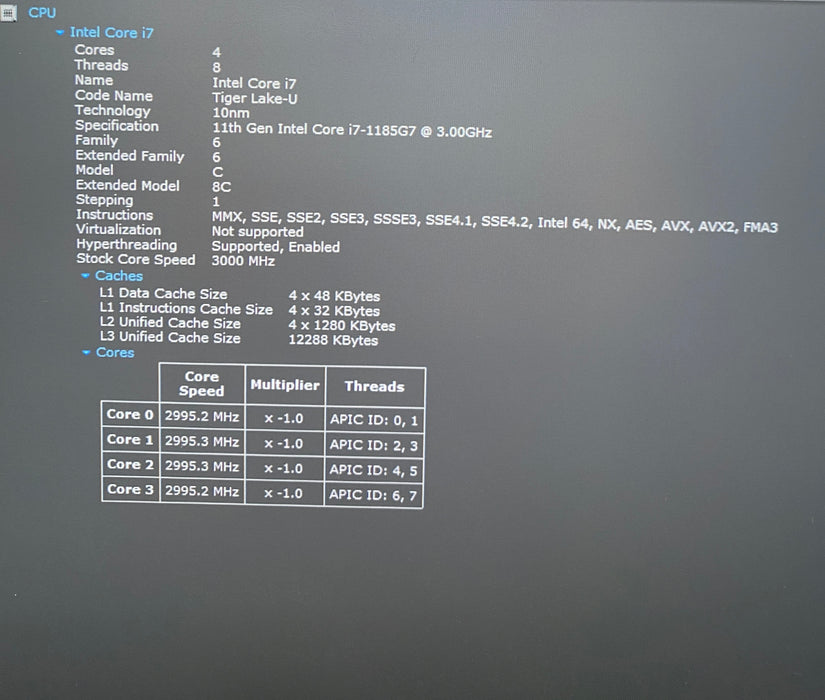 Dell XPS 13 9310 i7-1185G7 3.00GHz 32GB RAM 256GB SSD READ!