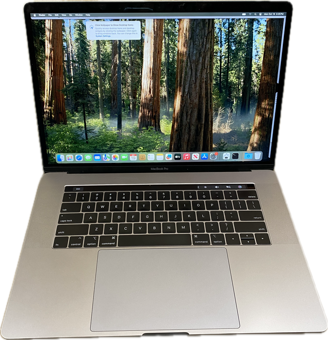 Apple MacBook Pro 15" 2018 i9-8950HK Radeon Pro Vega 20 32GB RAM 1TB SSD READ!