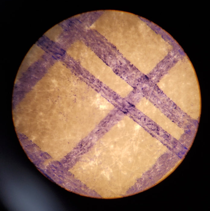 Olympus CH-2 CHT - Binocular Laboratory Compound Microscope