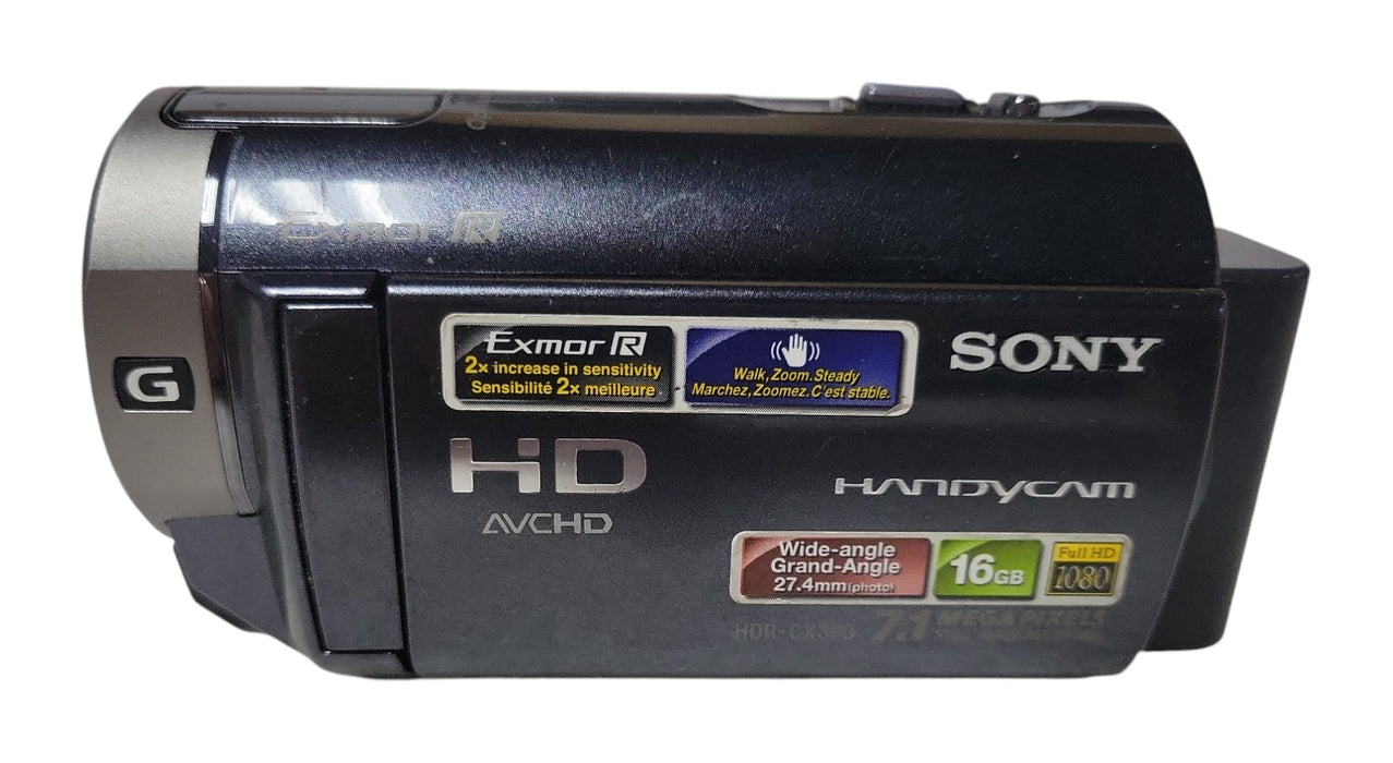 Sony Handycam HDR-CX300 HD AVCHD Camcorder 16GB Exmor R 12x Zoom (READ)