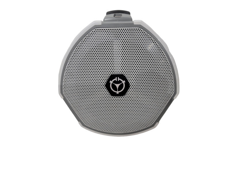 Chiayo Coach 400 Personal Wireless Portable Amplifier