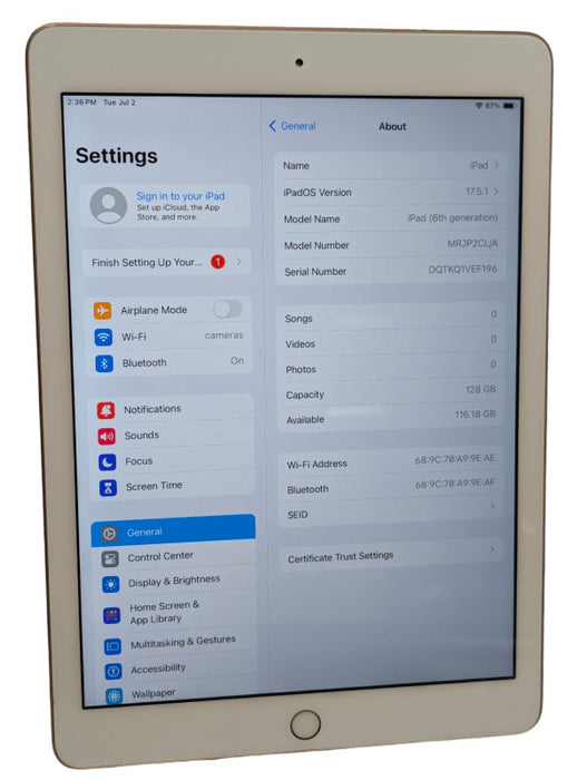 Apple iPad 6th generation 128GB A1893 Rose Gold UNLOCKED -