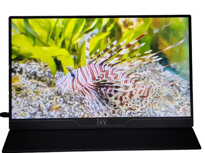 iVV M156DS-22E25 Portable Monitor 15.6\\'\\' USB-C, Mini HDMI, Read _
