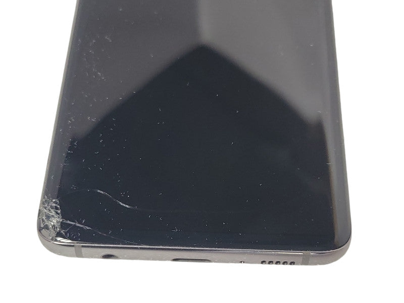 Samsung Galaxy S10 128GB (SM-G973W), READ _