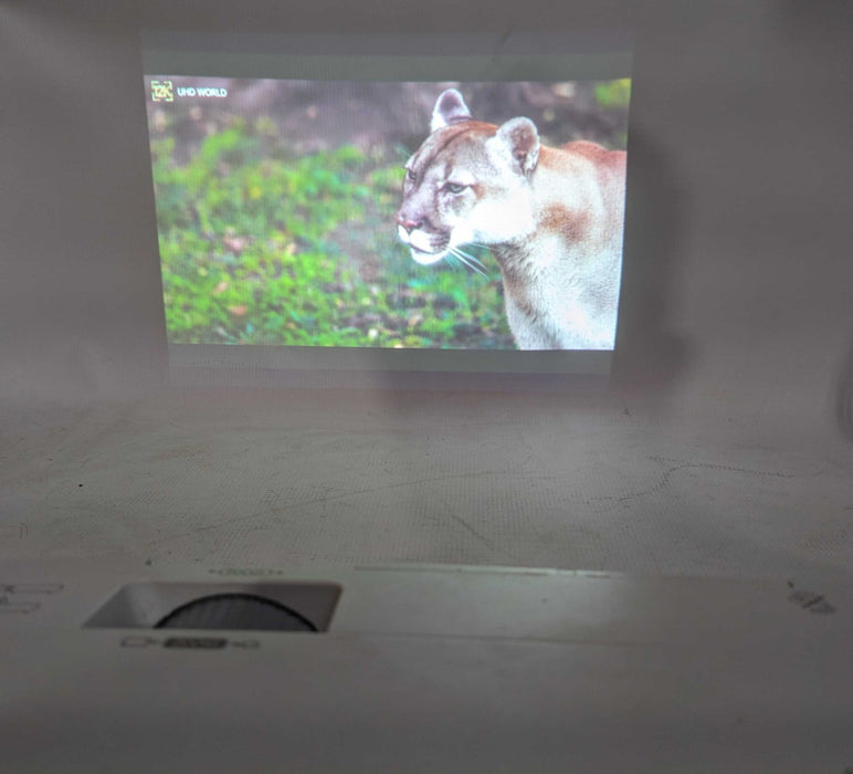 NEC NP-M260X LCD Projectpr XGA 2000:1 2600 Lumens, Lamp Hours: 1230Hrs