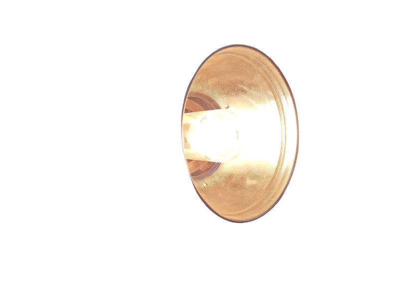 Speedotron Universal Light Unit with Reflector, Model 101  Q