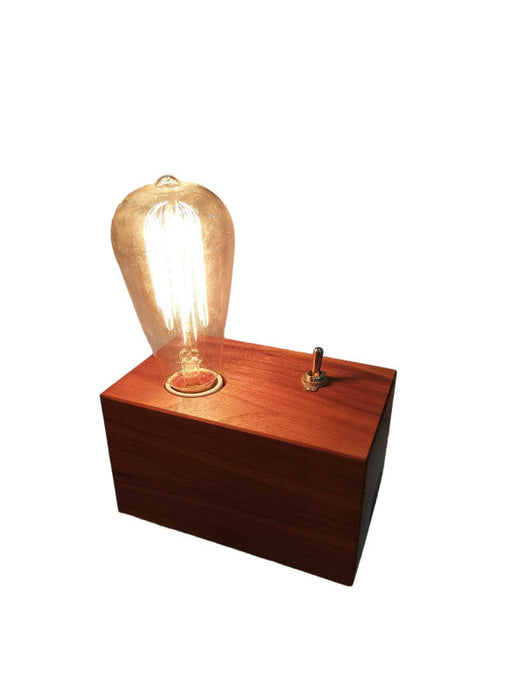 Artistic Lightbulb Idea Hand Crafted By Travis Allan w Leviton Plug =