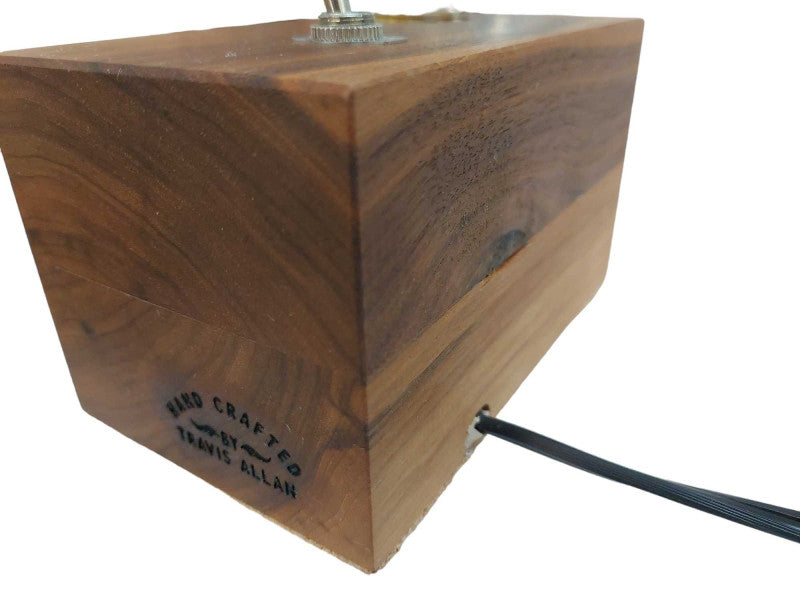 Artistic Lightbulb Idea Hand Crafted By Travis Allan w Leviton Plug =