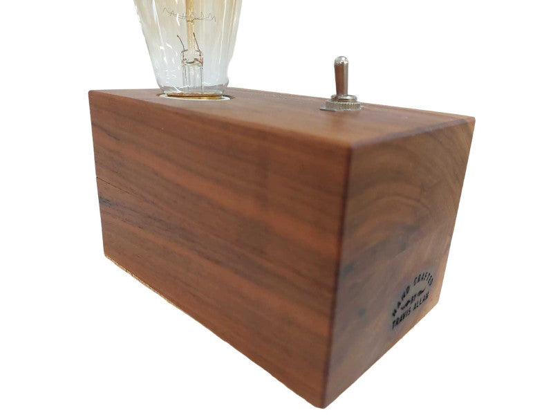 Artistic Lightbulb Idea Hand Crafted By Travis Allan w Leviton Plug =