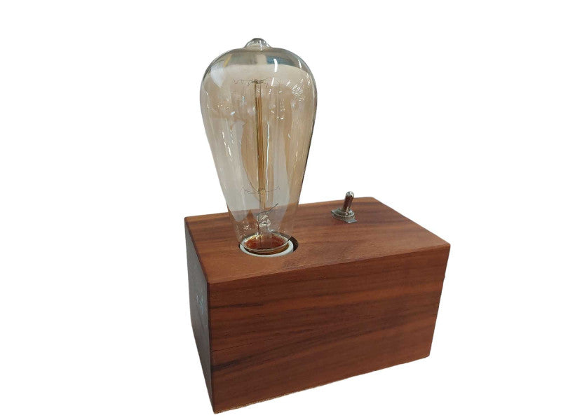 Artistic Lightbulb Idea Hand Crafted By Travis Allan w Leviton Plug =