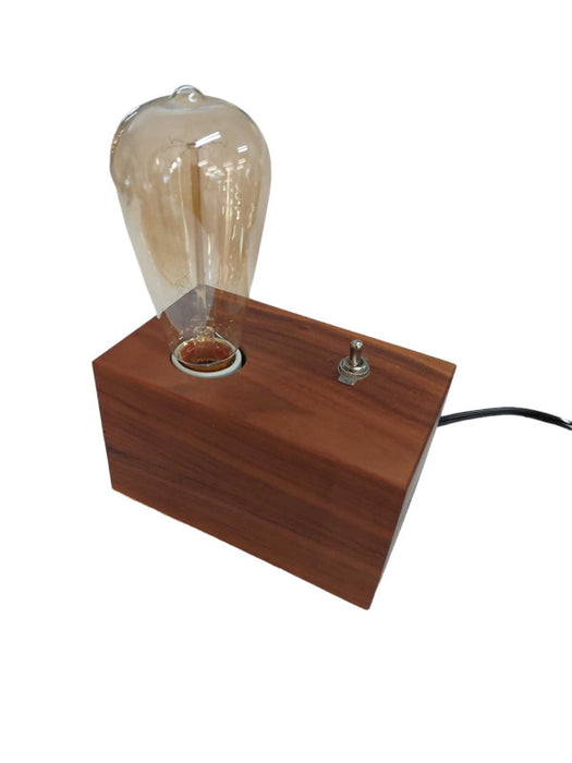 Artistic Lightbulb Idea Hand Crafted By Travis Allan w Leviton Plug =