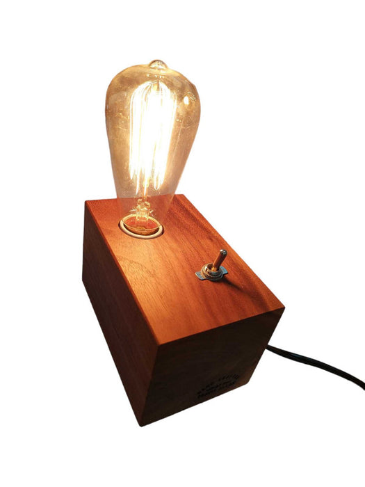 Artistic Lightbulb Idea Hand Crafted By Travis Allan w Leviton Plug =