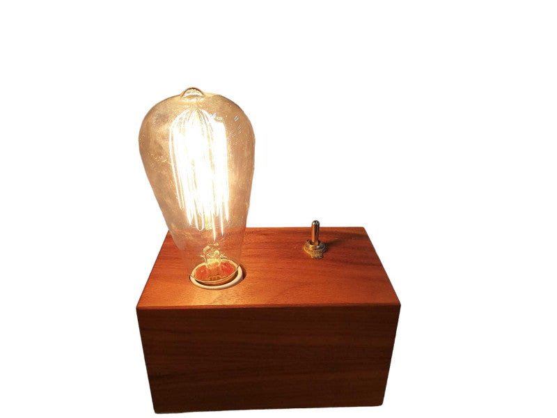 Artistic Lightbulb Idea Hand Crafted By Travis Allan w Leviton Plug =