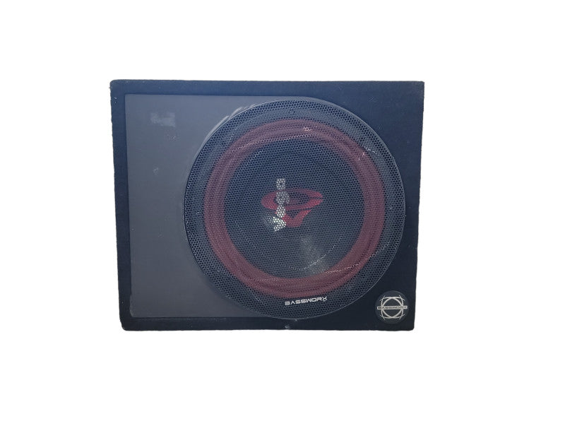 12" Vega Subwoofer In a BASSWORK Case