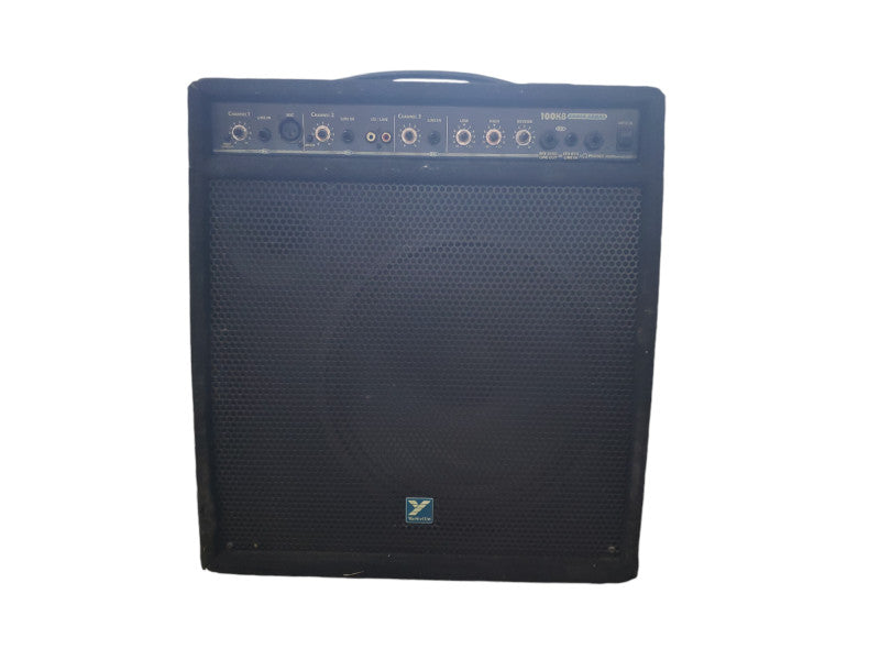 Yorkville Sound 100 Watt Keyboard Amp