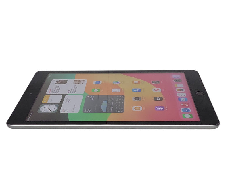 Apple iPad 6th Gen 32GB A1893 _