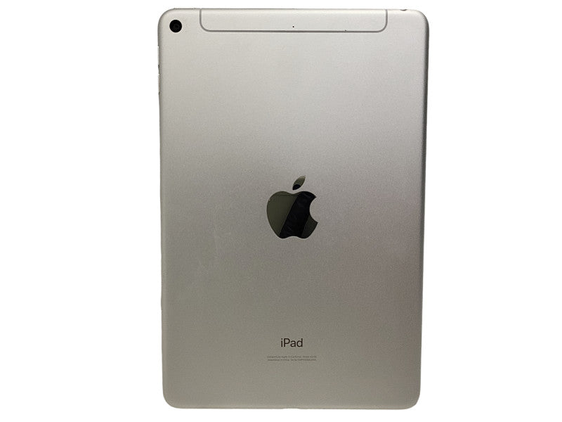 Apple iPad Mini 5th Gen 256GB A2126, Wi-Fi + 4G (Unlocked), 7.9in  $