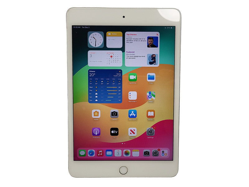 Apple iPad Mini 5th Gen 256GB A2126, Wi-Fi + 4G (Unlocked), 7.9in  $