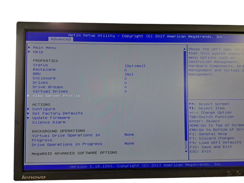 Lenovo ThinkServer TS460 | Xeon E3-1230 v5 @ 3.40GHz, 24GB DDR4, LSI MegaRAID