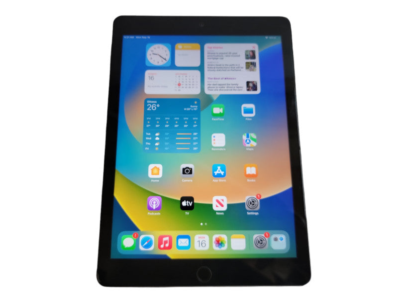 Apple iPad 5th Gen - 32GB - Gray (