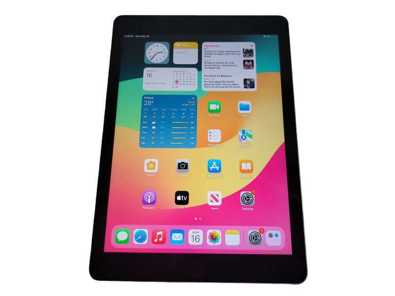 Apple iPad 6th Gen - 128GB - Gray (