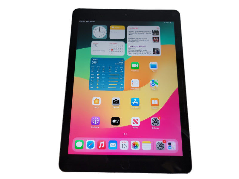 Apple iPad 6th Gen - 128GB - Gray (