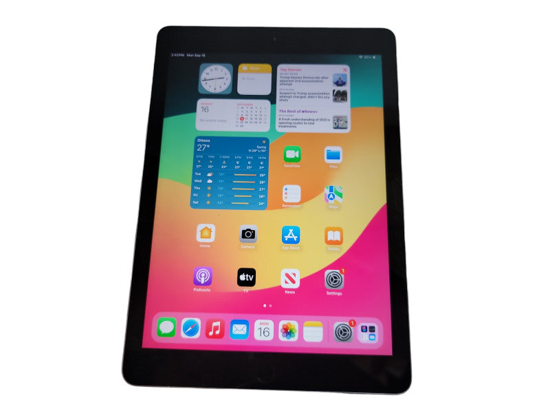Apple iPad 6th Gen - 128GB - Gray (
