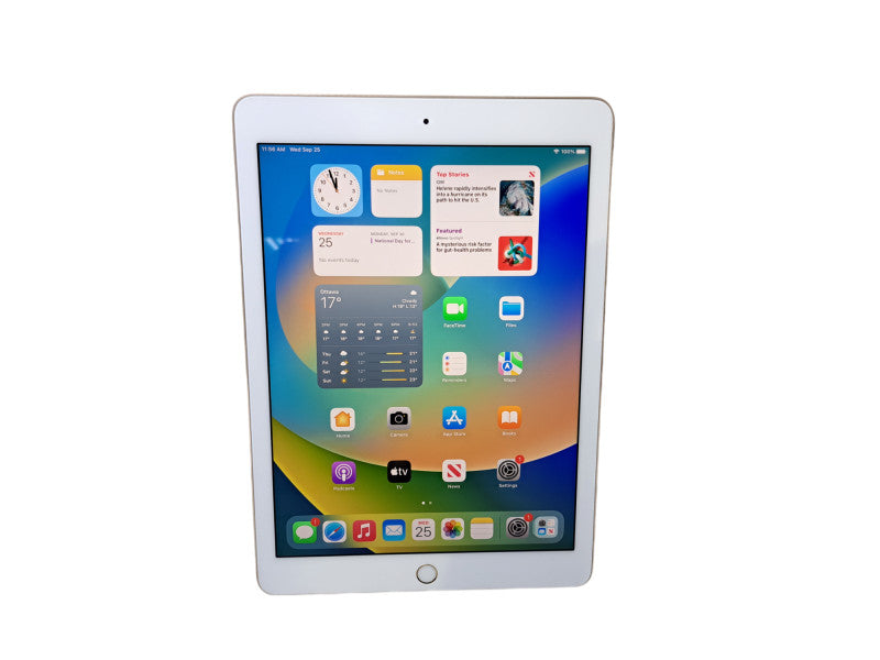 Apple iPad Pro 1st Gen (A1673) | 128GB Wi-Fi Only Tablet