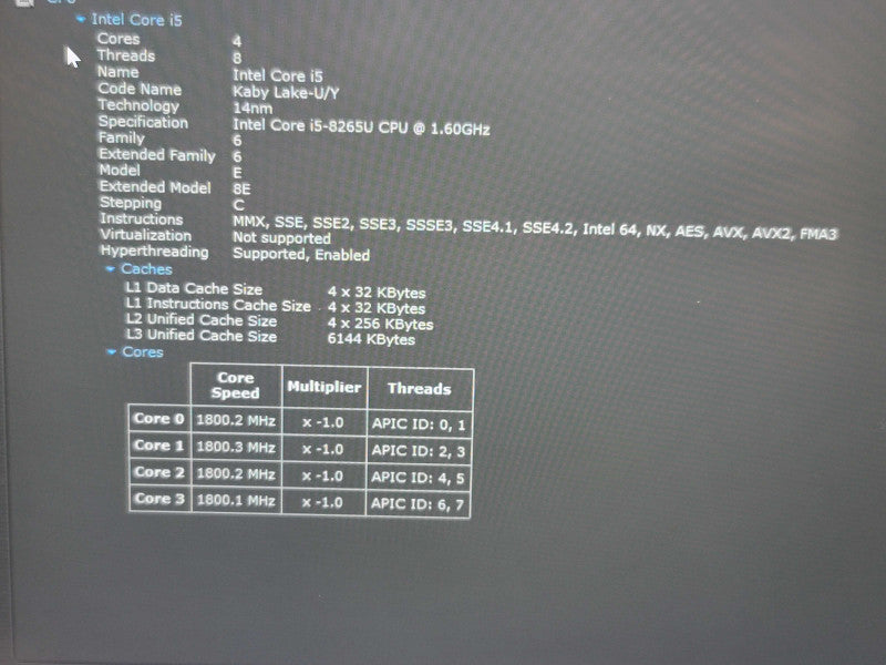 Lenovo ThinkPad X390| i5-8265U| 16GB RAM| 256GB SSD  β BudLap