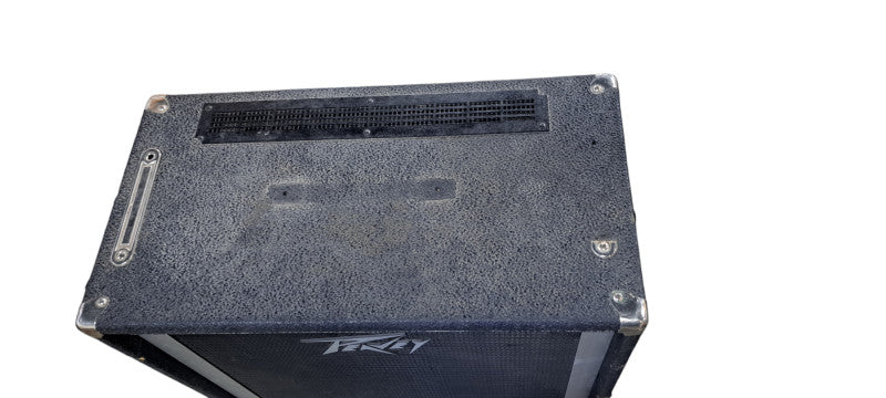 Peavey 300-WATT BASS AMP COMBO