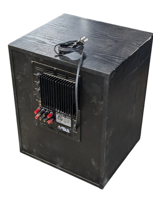 D-Box DAVID-302 12" Amplified Powerful Subwoofer  -
