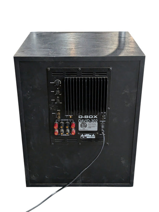 D-Box DAVID-302 12" Amplified Powerful Subwoofer  -
