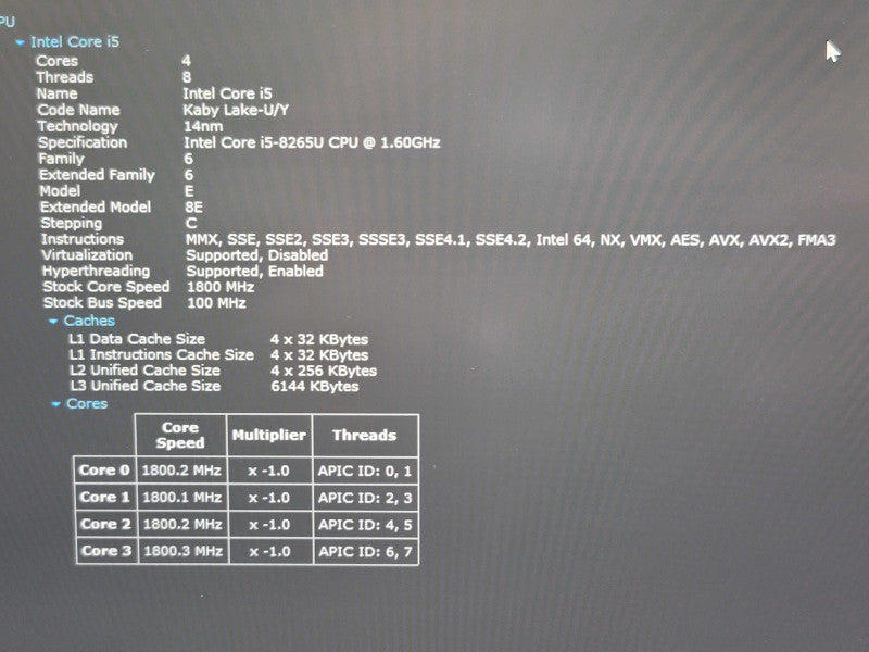 Dell XPS 13 9380| i5-8265U| 8GB DDR3| 256GB SSD READ  ÃŽÂ² BudLap