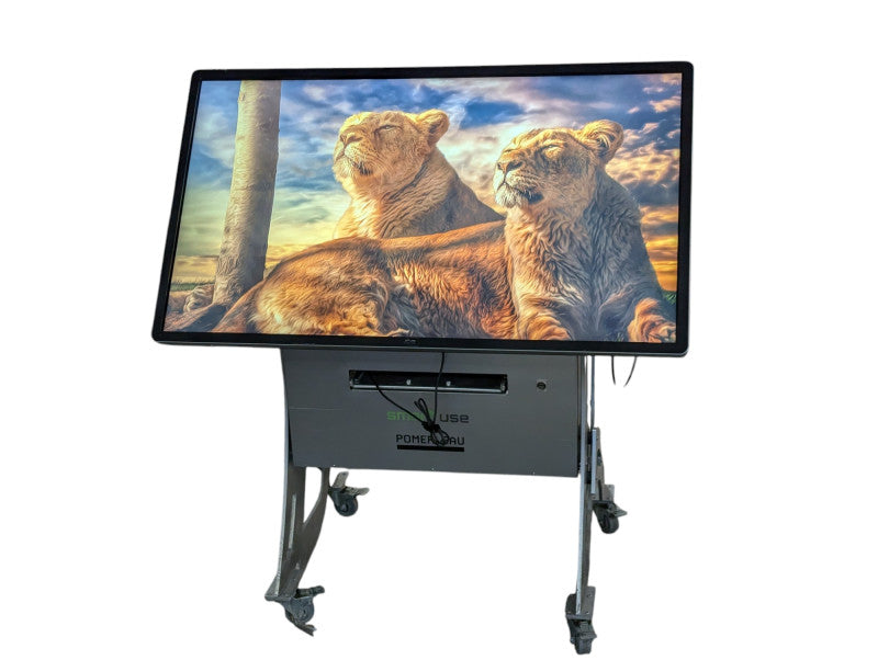 ELO 55" TouchScreen ET5501L Interactive Digital Signage Please READ  -