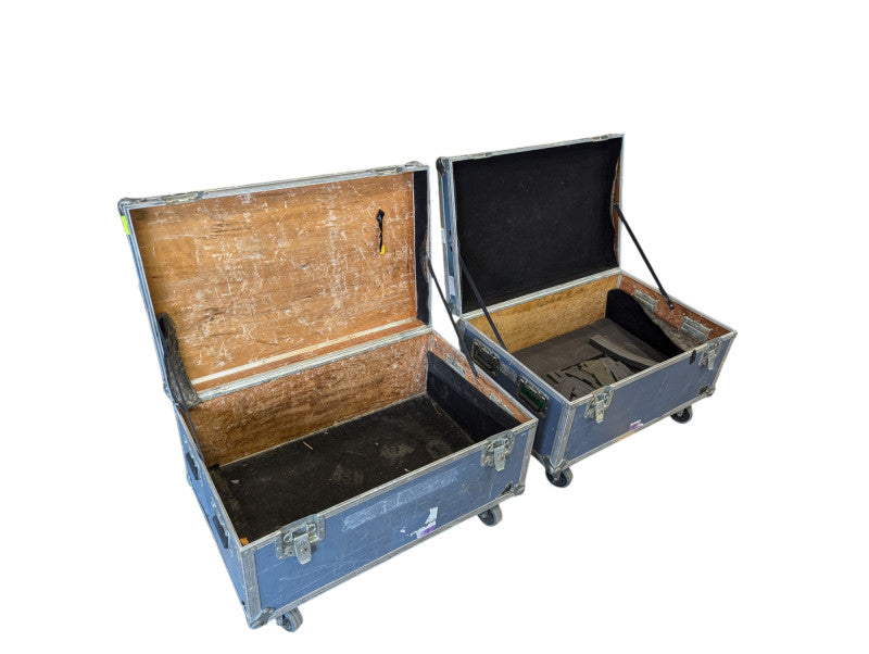 Dinosaur Cases with wheels 3 x 2 x 1 feet  -