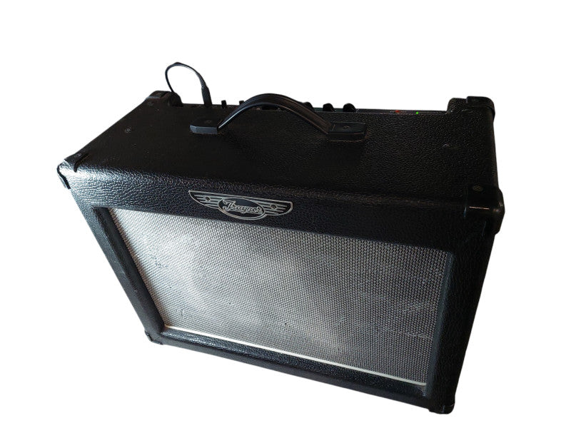Traynor Dyna Gain 15 DG15 Amplifier Model: YS1050 with 10" Sub G10E-30  =