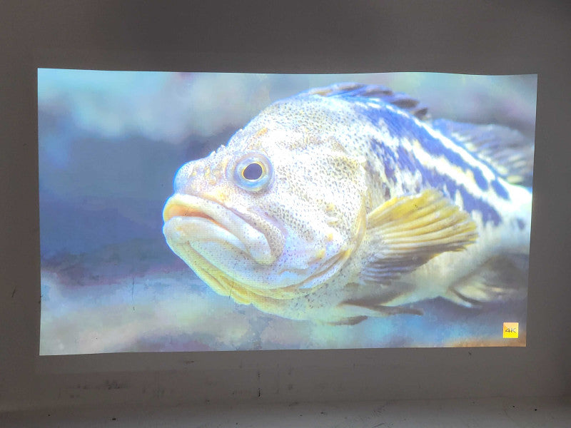 InFocus IN1503 WXGA/UXGA Mobile Wide Screen DLP Projector $