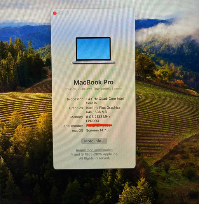 Apple MacBook Pro 13" Touchbar 2019 i5-8257U 8GB 256SSD READ!