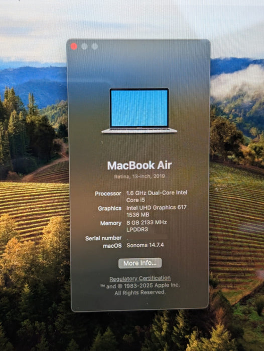 Apple MacBook Air Retina 13-inch 2019 Intel Core i5 8GB RAM 256GB Storage  - Lap200