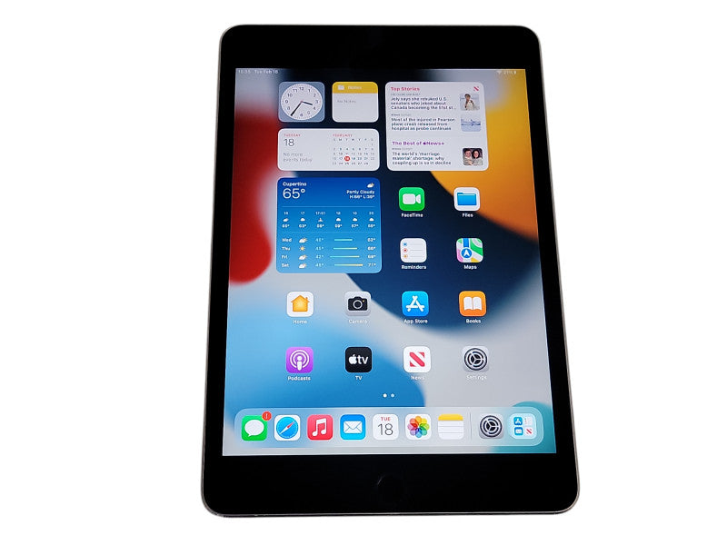 Apple iPad Mini 4th Gen - 128GB - Space Gray [A1538] (